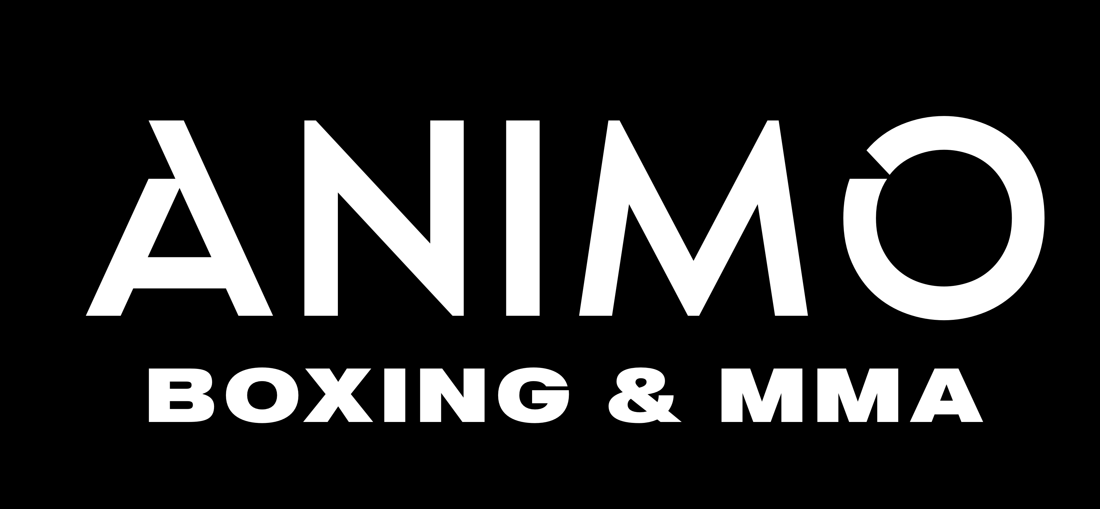 Animo Boxing & MMA